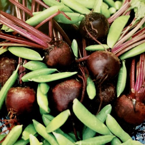 Beet and Sugar Snap Salad